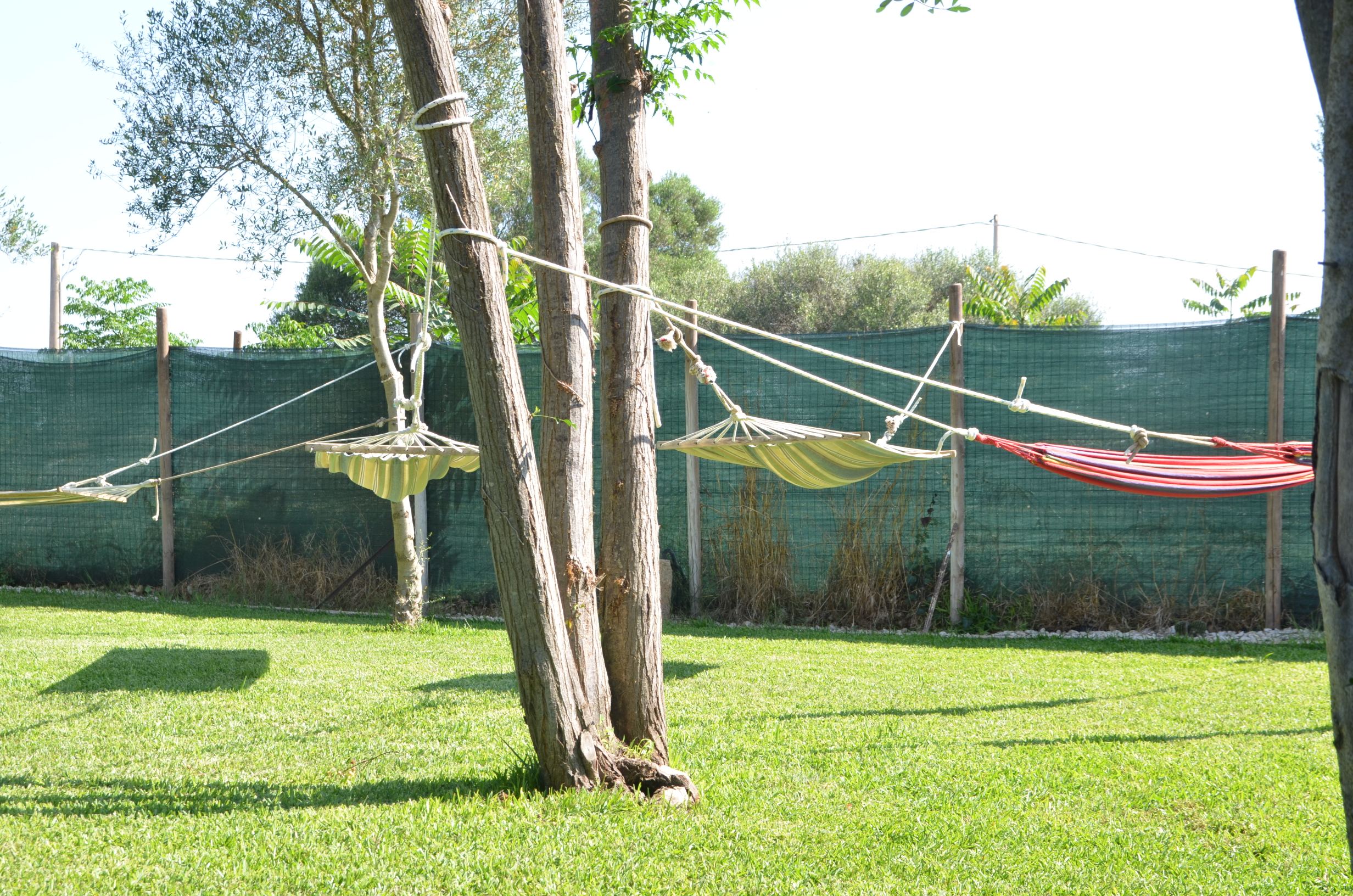 esterno corte e giardino (9)