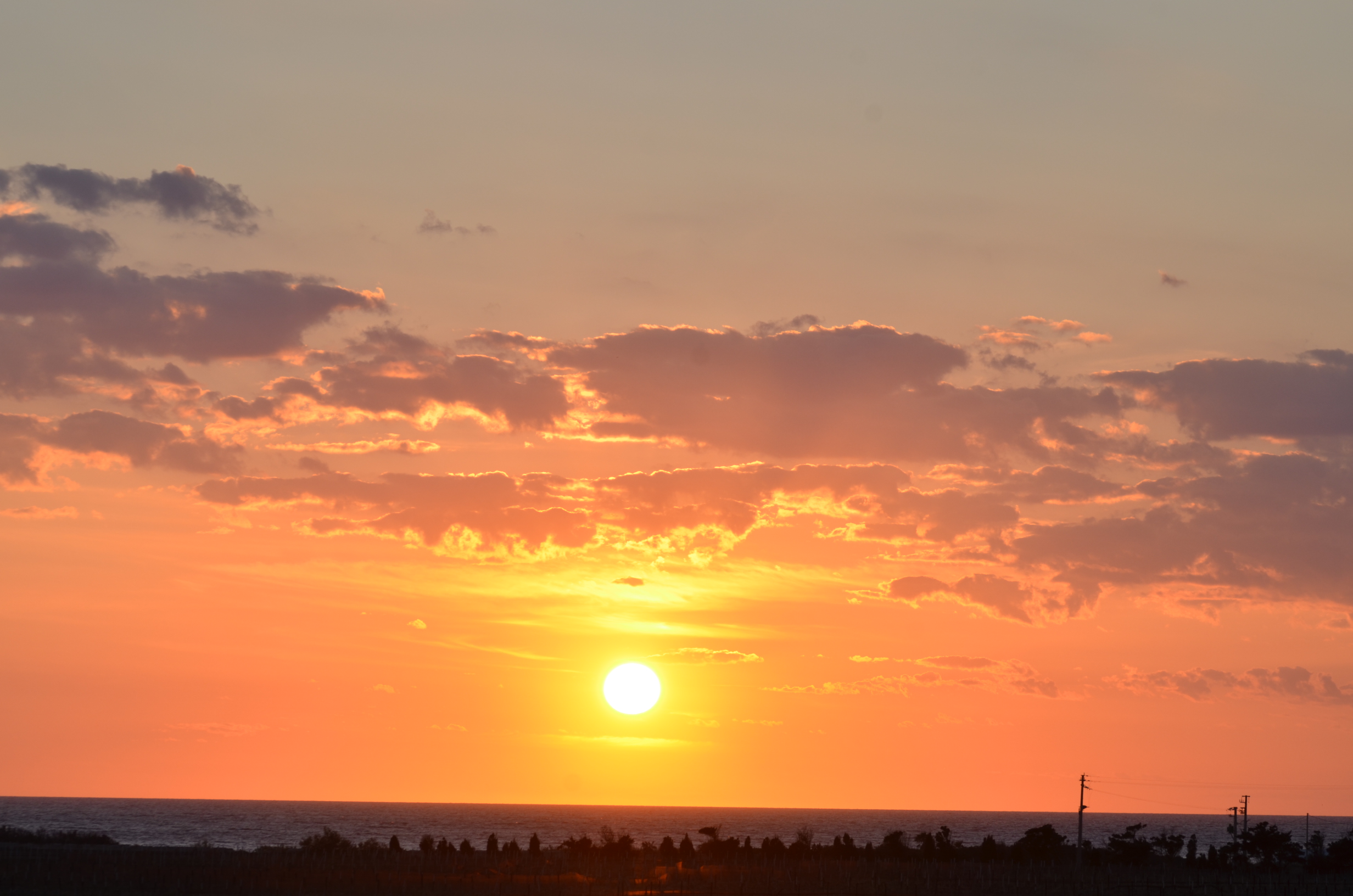 terrazza (6)